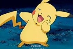 宁波皮卡丘最新爆料,揭秘神奇宝贝的神秘生活
